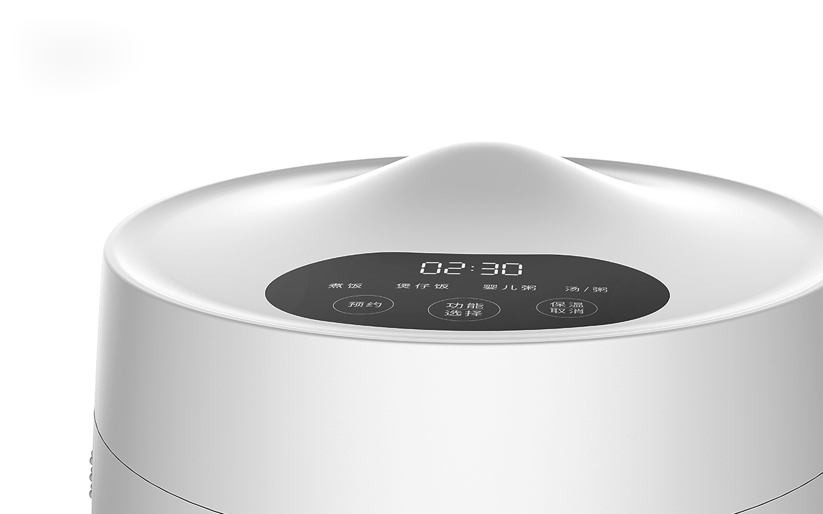 The Main Push Rice Cooker 20H