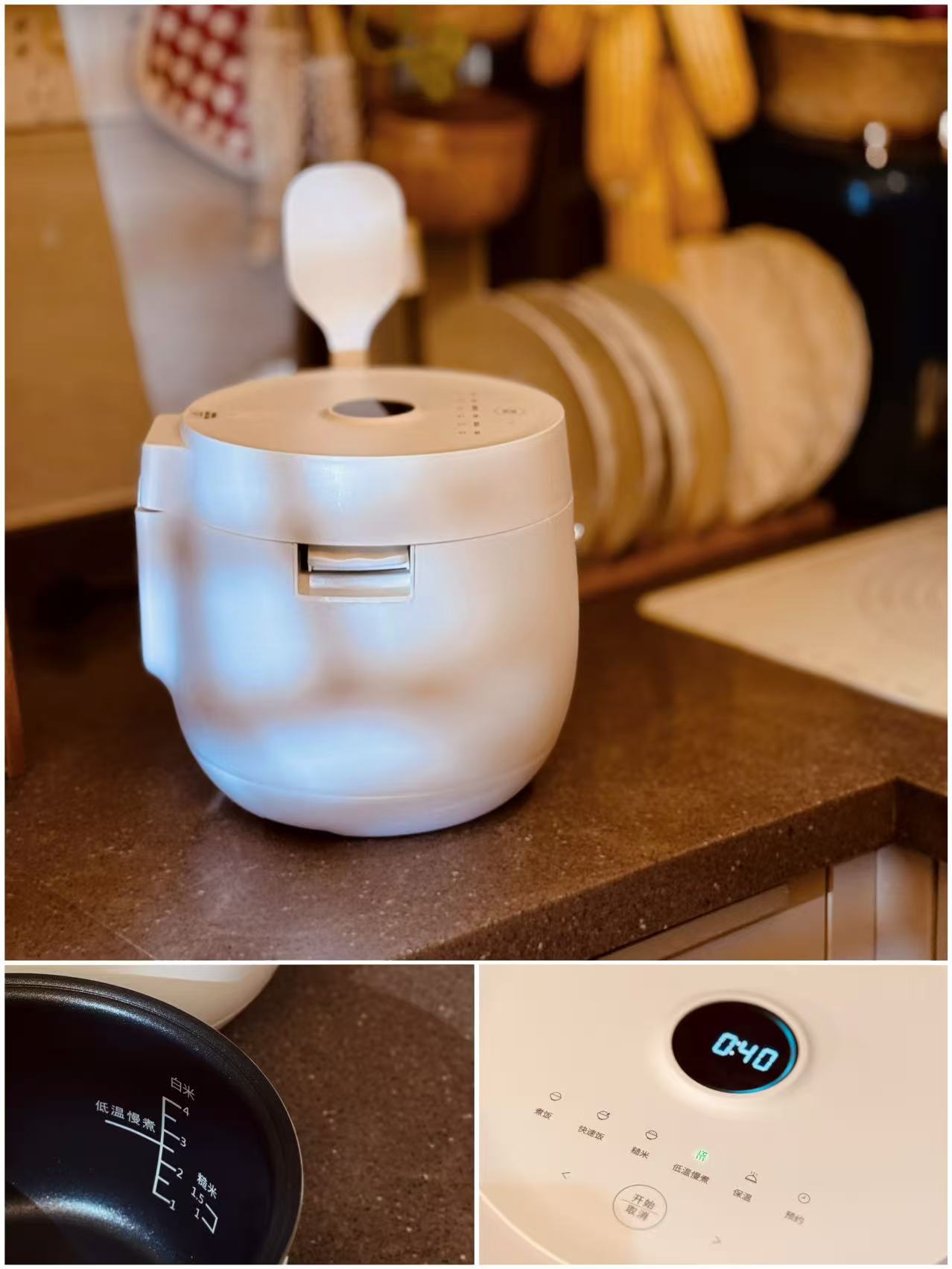 Windspro Rice Cooker